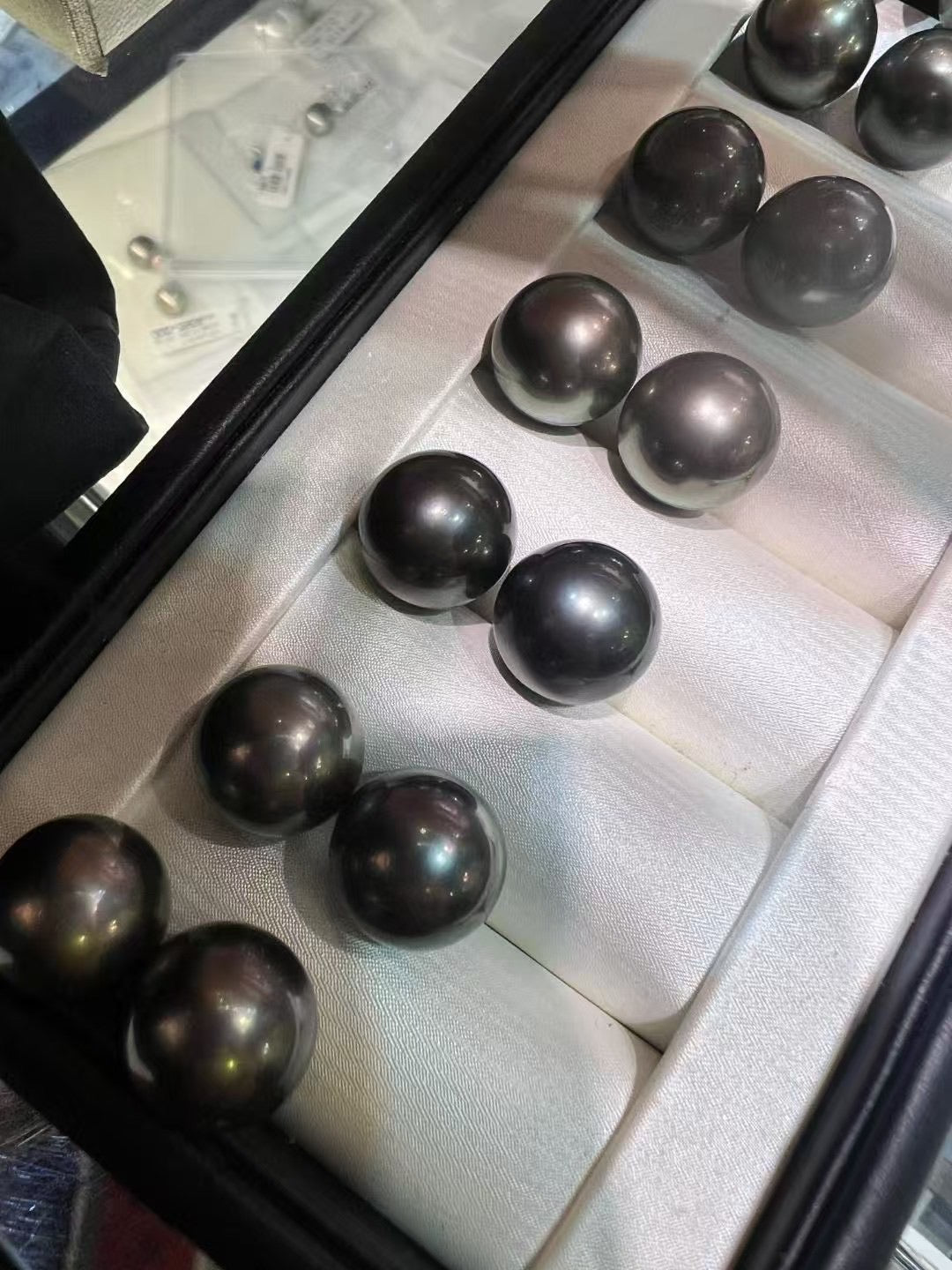 Tahiti Pearl Stud Earrings